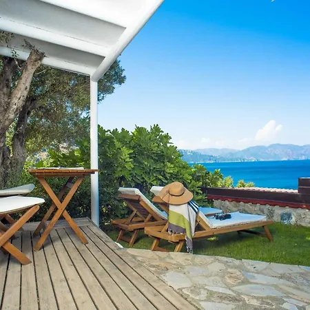 Zeytin, Florya Marmaris