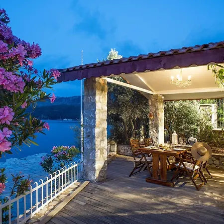 Zeytin, Florya * Marmaris