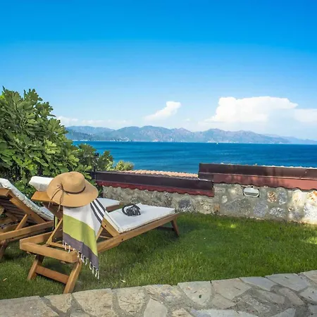 Zeytin, Florya