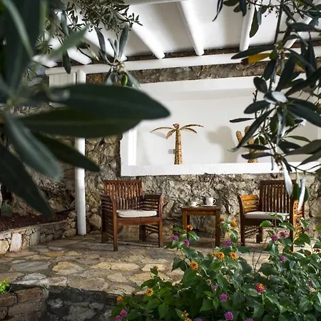 Zeytin, Florya Nyaraló *